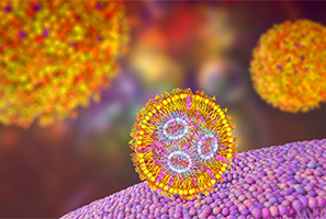 Liposome System