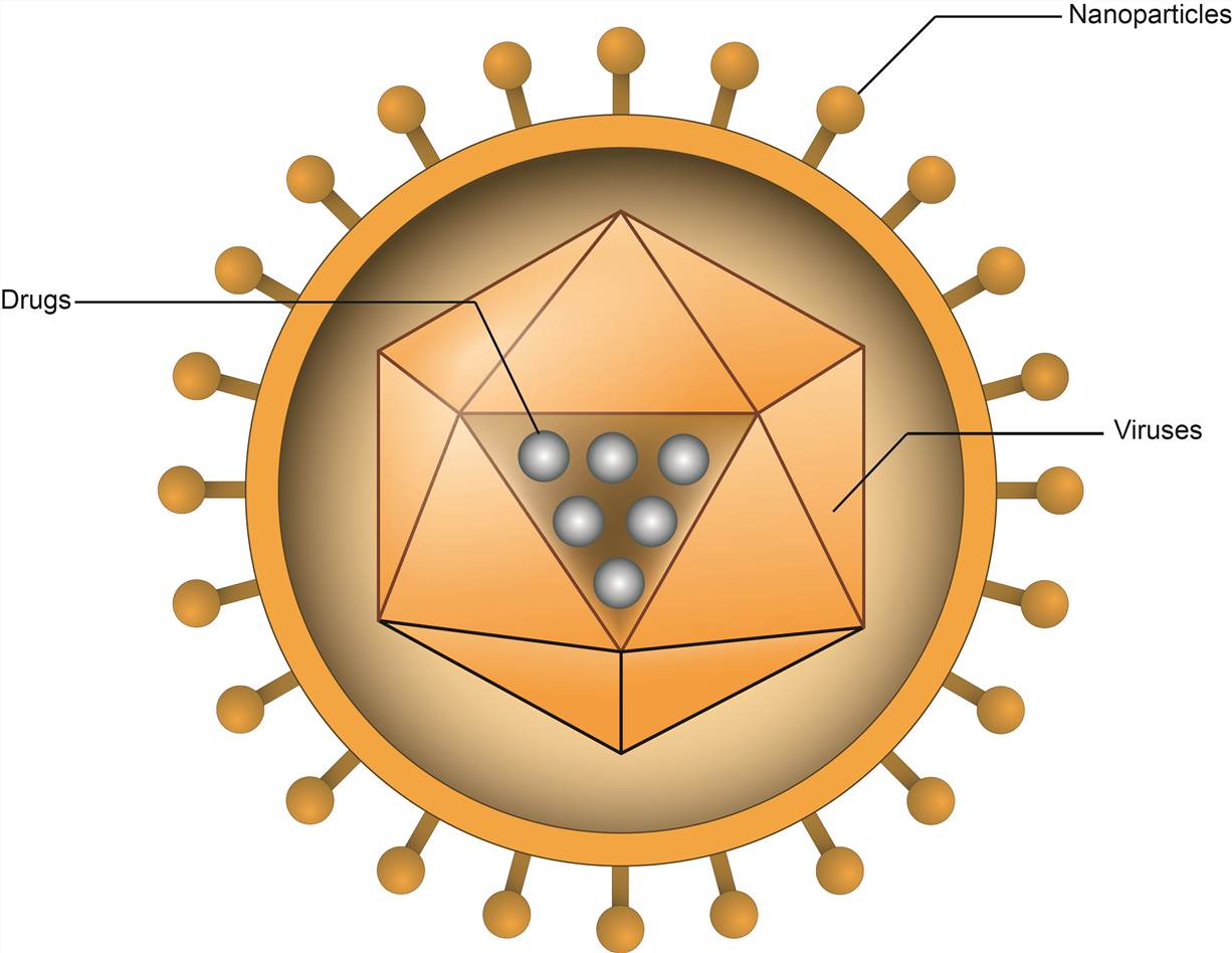 Figure 1. Nanoparticle-virus conjugates.