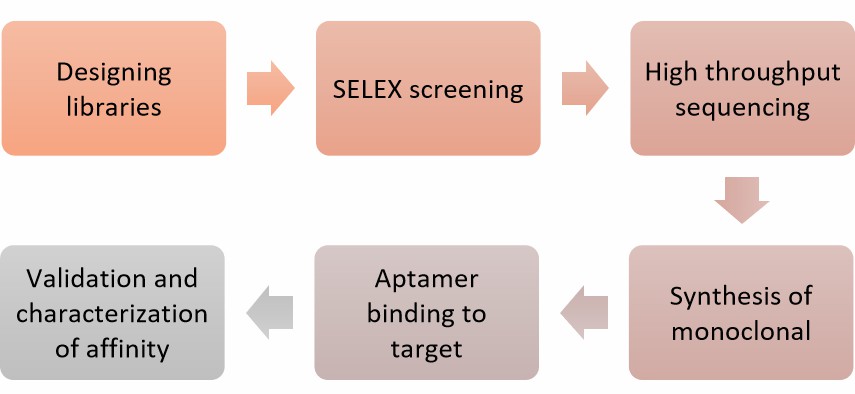 Aptamer Screening Service