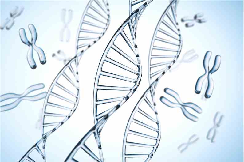 Anti-Tenascin-C (TN-C) Aptamer Synthesis and Modification Service