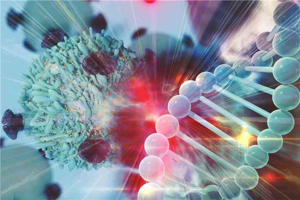 Anti-Nucleolin Aptamer Synthesis and Modification Service