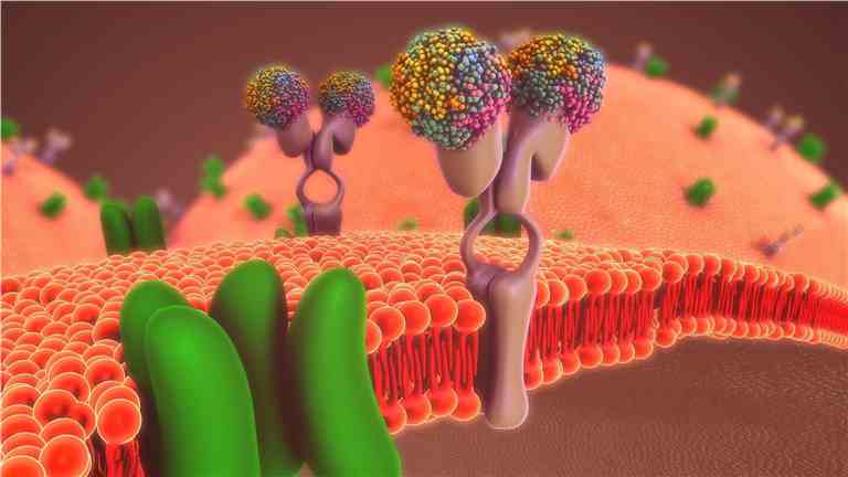 Aptamer and Organic Nanocarrier Coupling Service