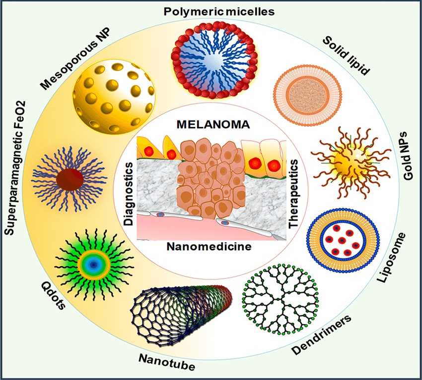 Graphical representation of various theranostic nanomedicine approaches that can be used for diagnosis and treatment.