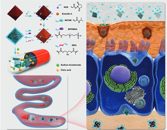 Illustration of pH-triggered self-unpacking capsules.