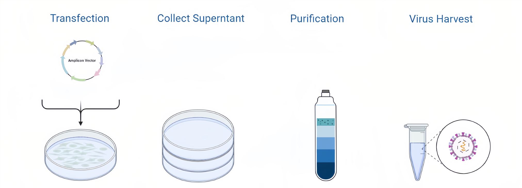 HSV Packaging Process.