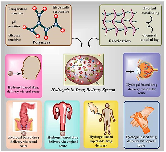 Schematic application of hydrogel drug delivery system.