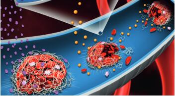 Antithrombotic coatings