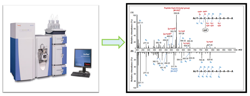 Bioparticle Component Analysis-1