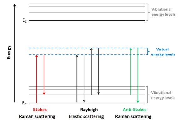 Bioparticle Component Analysis-2