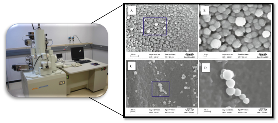 Bioparticle Size and Morphology Analysis-1