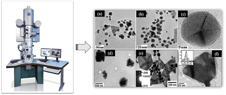 Bioparticle Size and Morphology Analysis-2