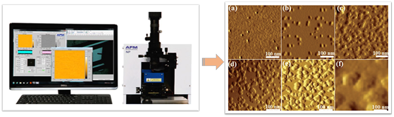 Bioparticle Size and Morphology Analysis-3