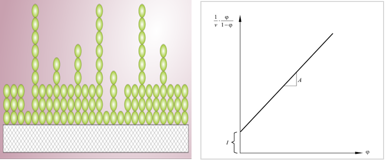 Bioparticles Stability Studies