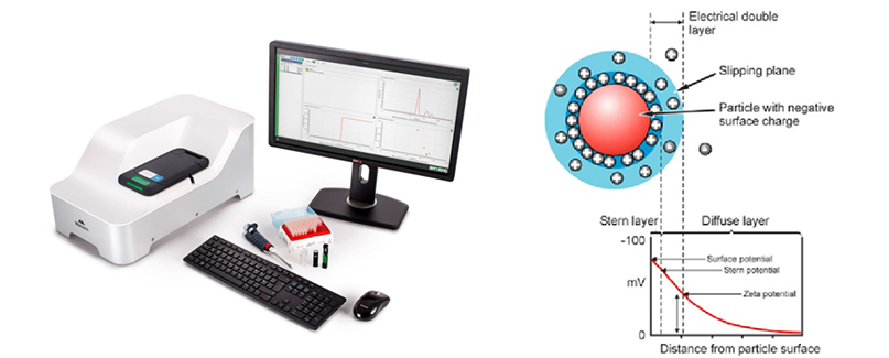 Bioparticles Zeta Potential Analysis