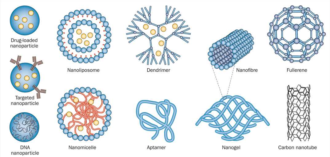 Schematic representation of nanoparticles that have been applied as therapies for CNS disease