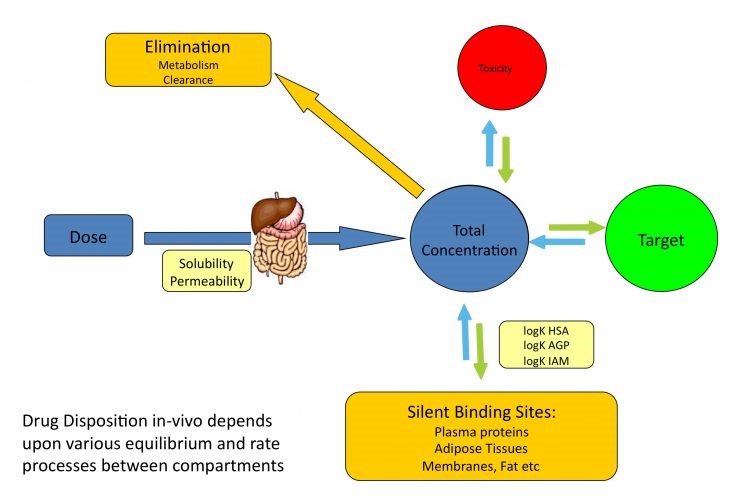 Drug Localization Analysis