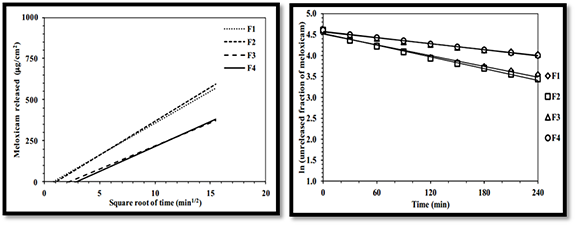 Drug In Vitro Testing