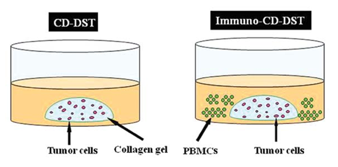 Drug In Vitro Testing-1