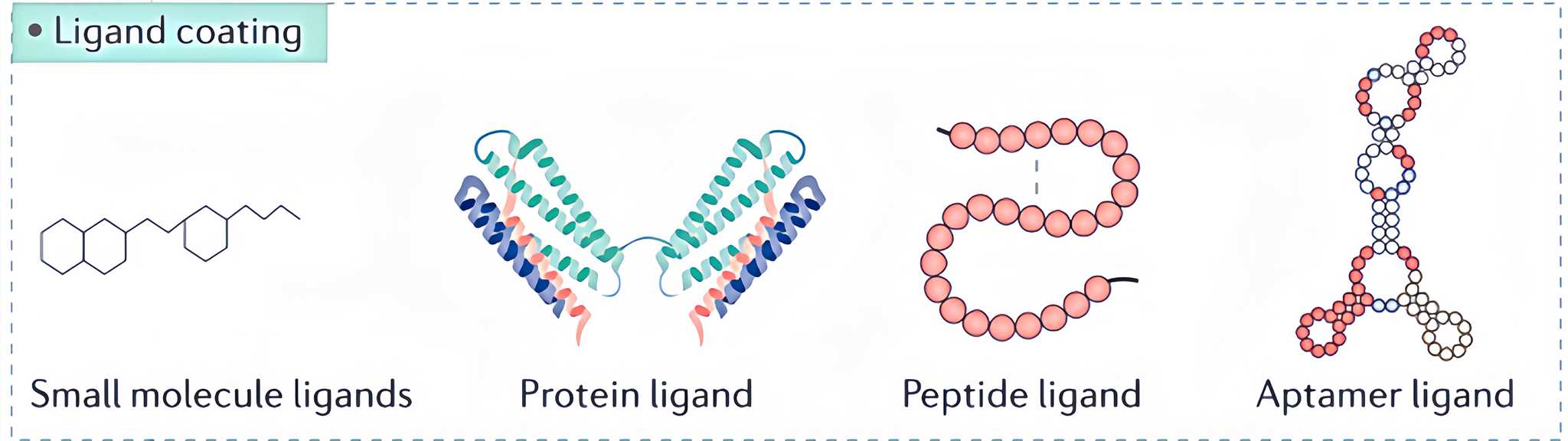 Parts of ligand types