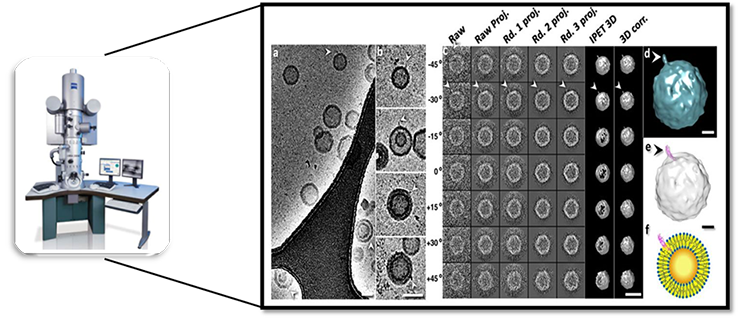 Lamellarity Determination-2