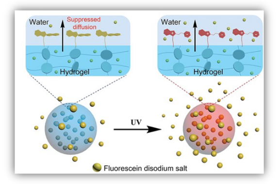 Light-Responsive Controlled-Release Nanocarriers