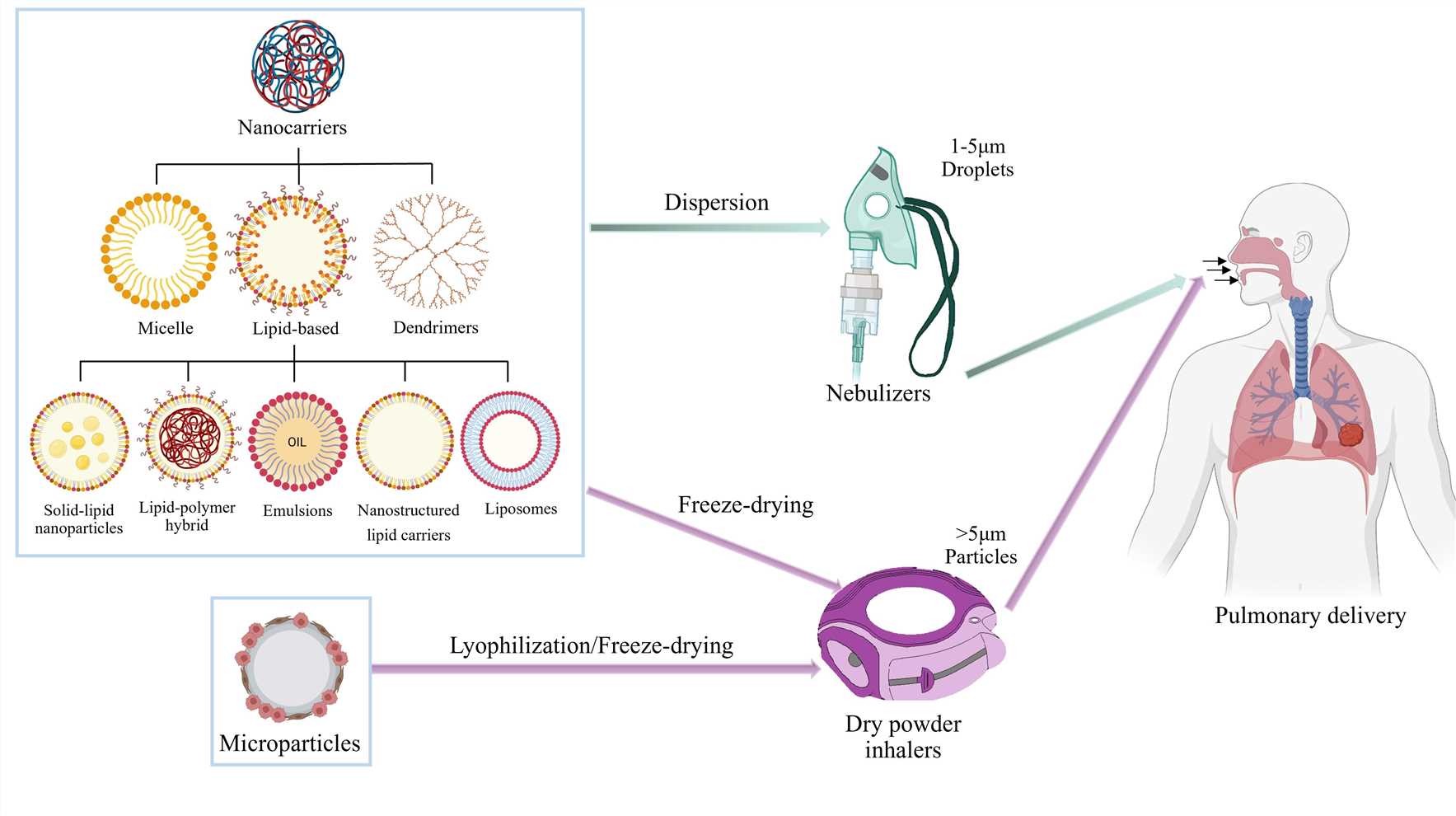 Types of drug delivery systems targeting the lungs