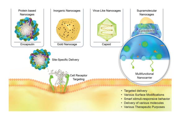 Nanocages Production