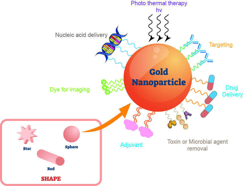 The application of gold nanoparticles.