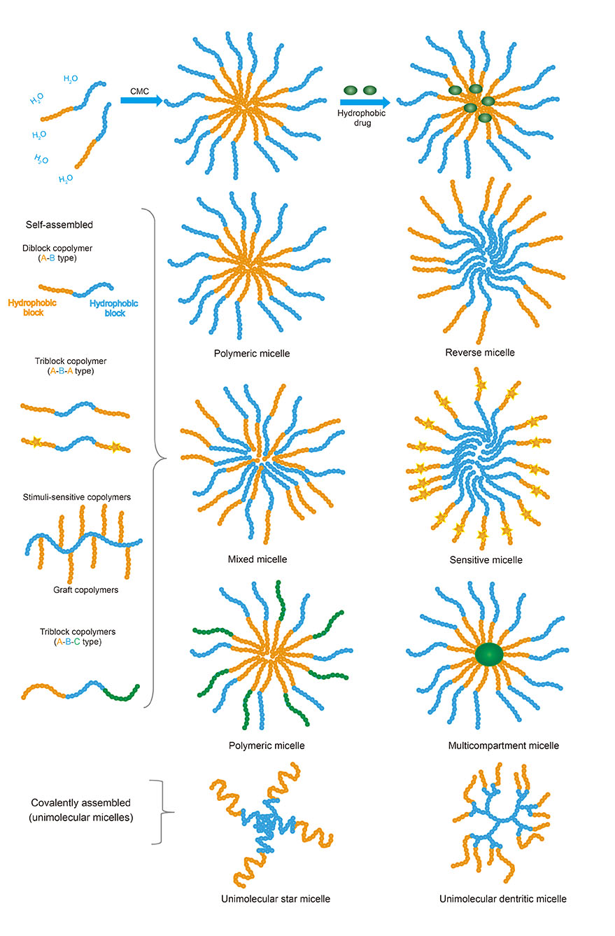 Types of polymeric micelles.