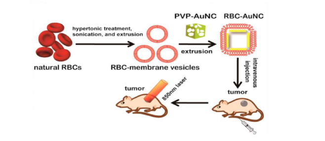 Passive Drug Targeting by New Coatings and Modification Techniques