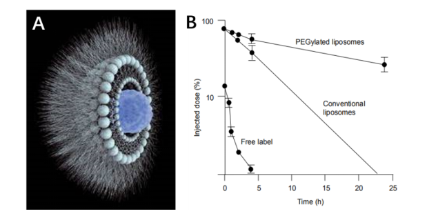 PEGylated Liposomes Production