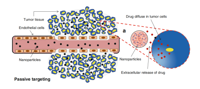 Passive Drug Targeting by Modifying Particle Size, Shape and Surface Characteristics