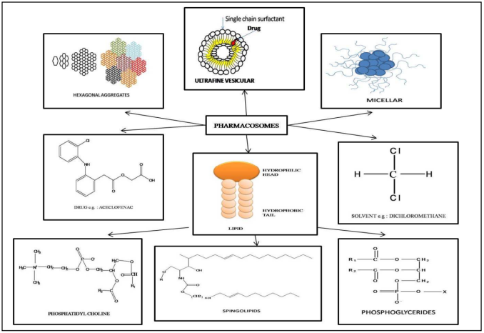 Pharmacosomes Production