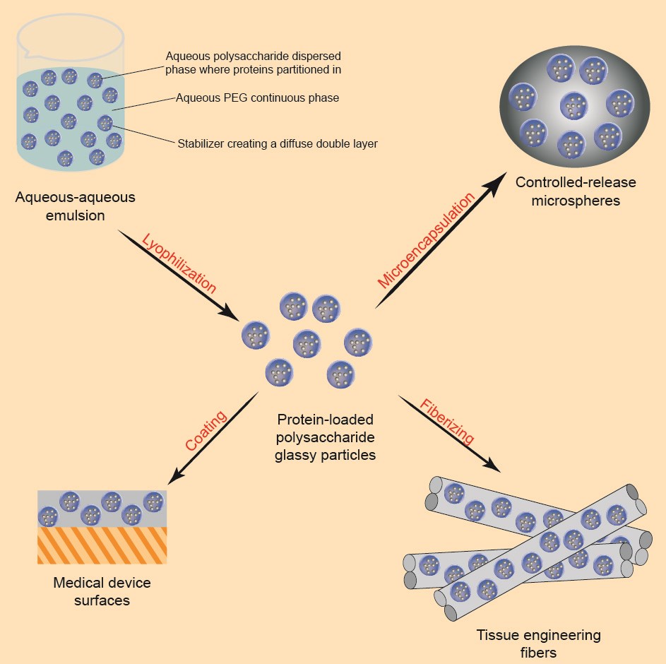 Sustained-Release Microspheres