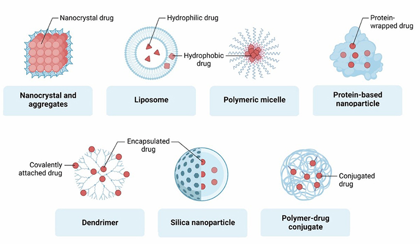 Figure 1. Nanoscale Delivery Approaches for Small-Molecule Cargoes.