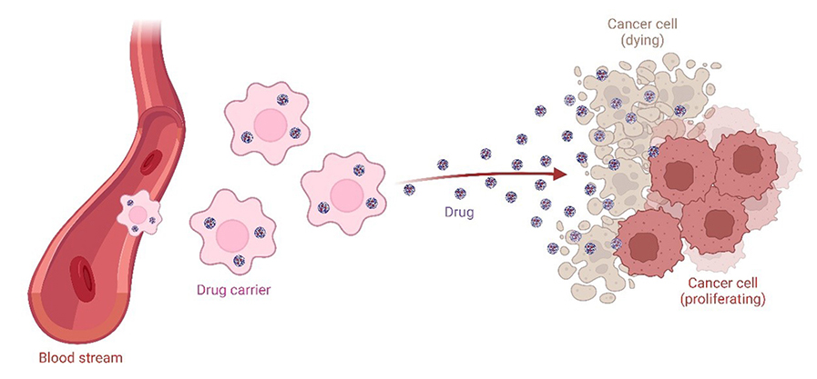 Figure 2. Cell-Mediated Drug Delivery for Cancer Treatment.