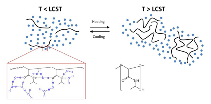 Thermo-Responsive Controlled-Release Nanocarriers