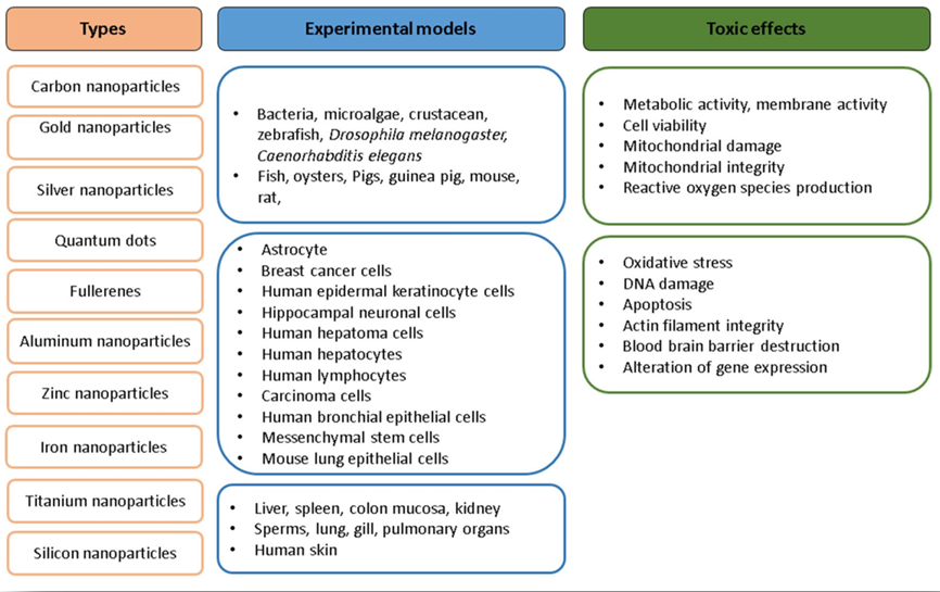 Toxicity Measurement