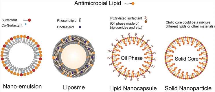 Illustration of the structure of nanoparticles composed of antimicrobial lipids.