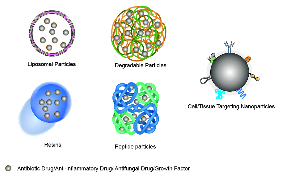 Functional mechanism of PROTACs.