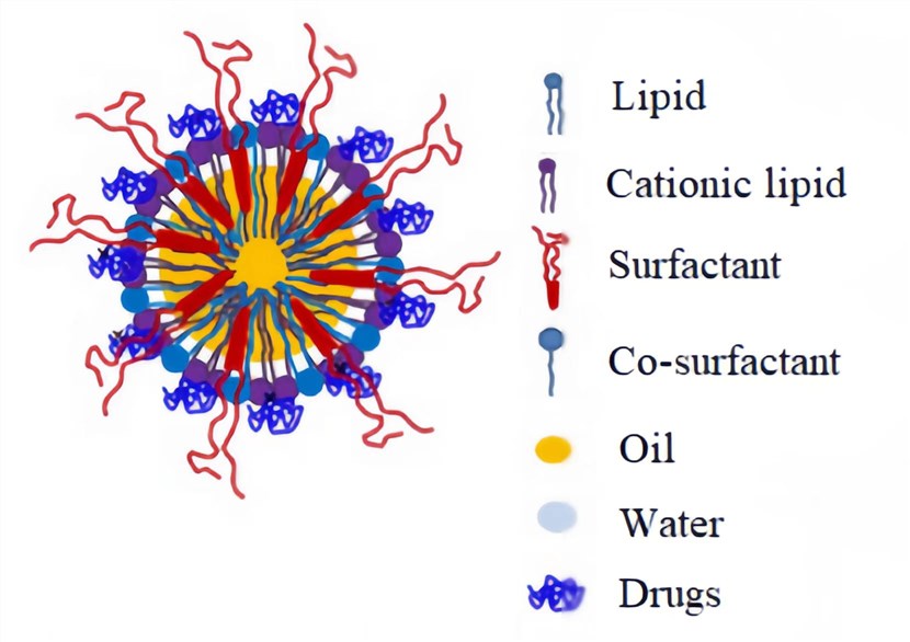 Schematic representation of RNA Cationic Nanoemulsions