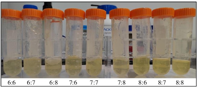 "Gelatin/alginate