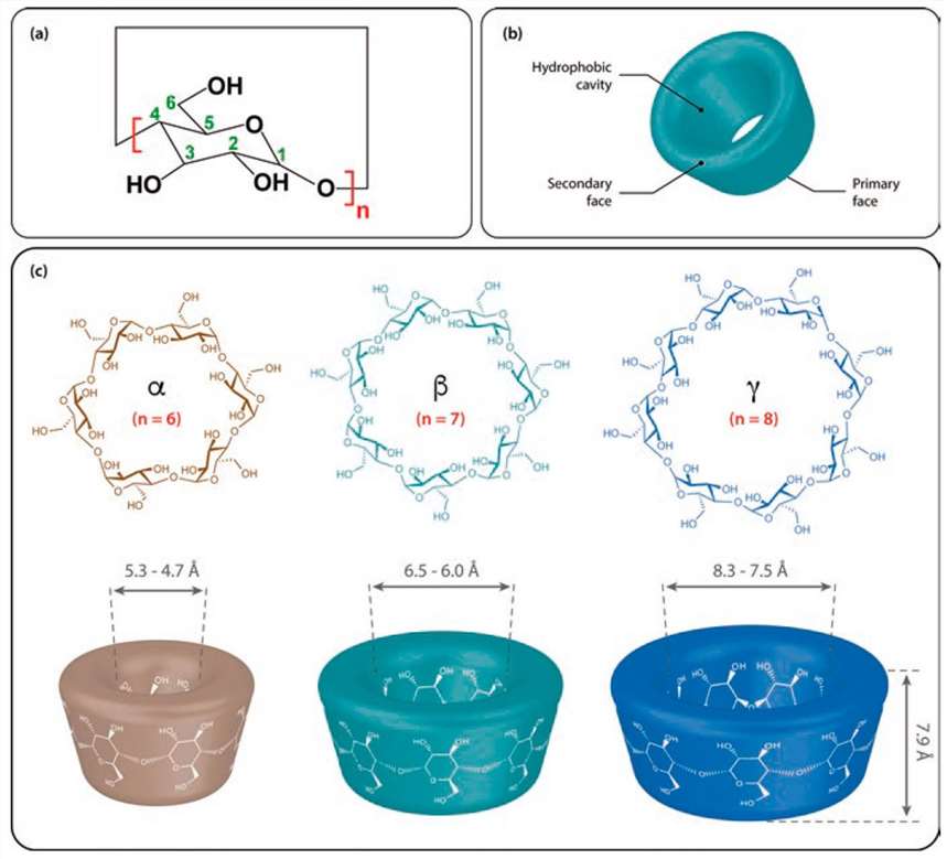 Cyclodextrin (CD) structures. (Jae-ung Lee, et al. 2020)