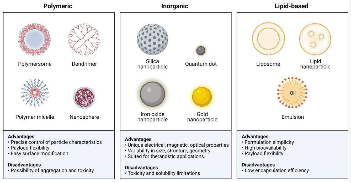 Figure 1. Classes of nanoparticles.