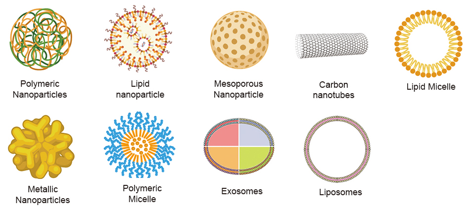 Drug Delivery Nanoparticles Formulation