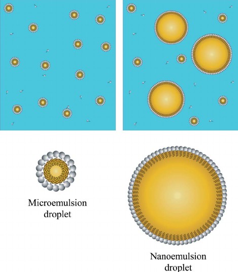 Schematic diagram of microemulsions and nanoemulsions fabricated from oil, water and surfactant.