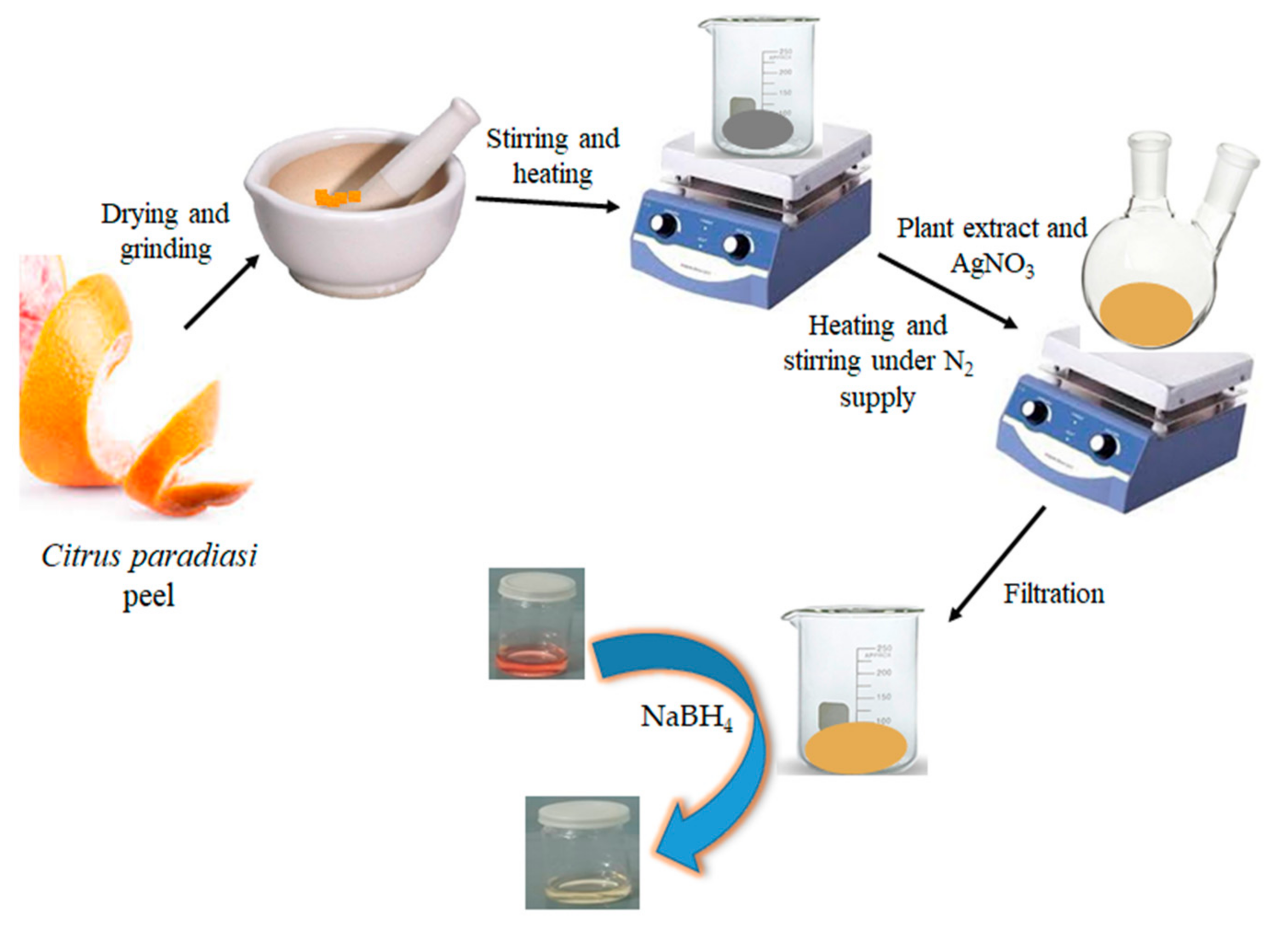 Figure 1. Scheme for preparation of Ag-nPs by the Citrus paradisi peel extract and its use as catalyst for reduction of CR.