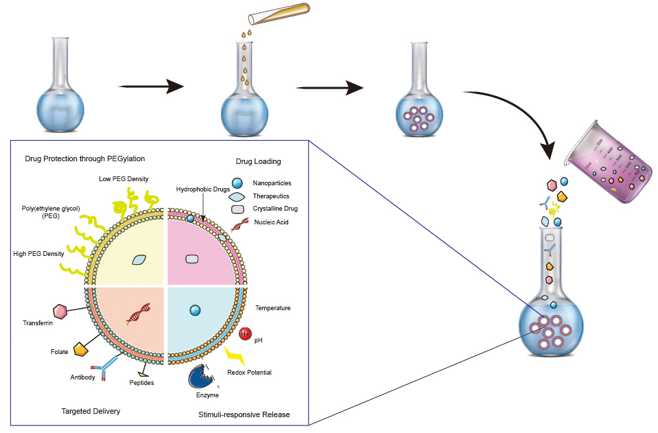 Schematic representation of the liposome preparation procedure