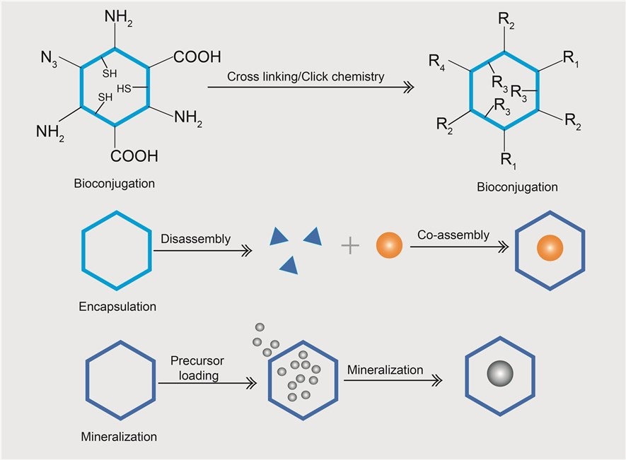 Figure 1. A simple illustration of the formation of nanocages.