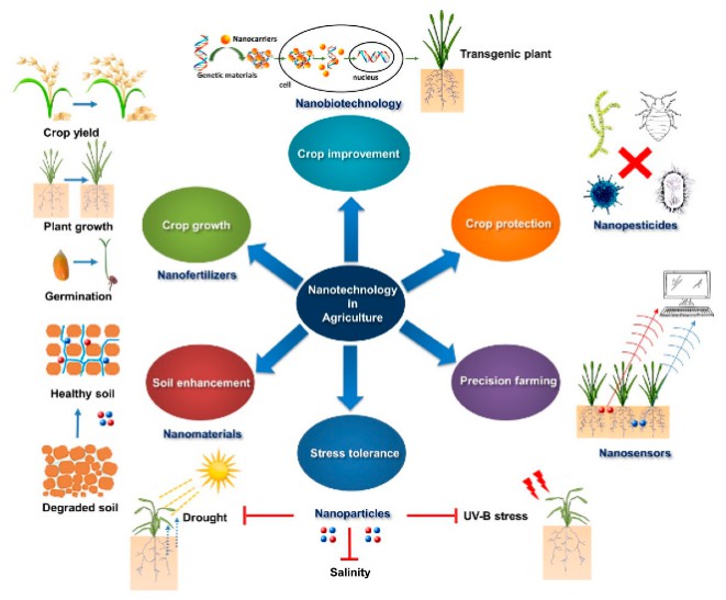 Figure 1. Applications of nanotechnology in agriculture. (Shang Y, et al.; 2019)